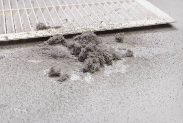 Best HVAC Air Duct Cleaning  in Berlin, NJ