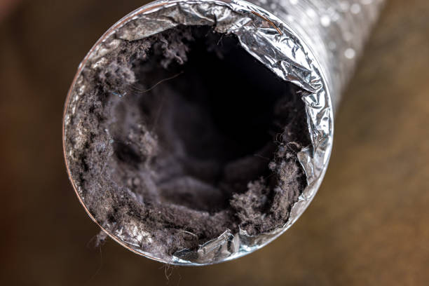 Best Dryer Vent Cleaning Services  in Berlin, NJ