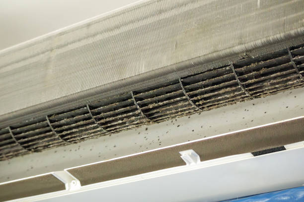 Best Commercial HVAC Duct Cleaning  in Berlin, NJ